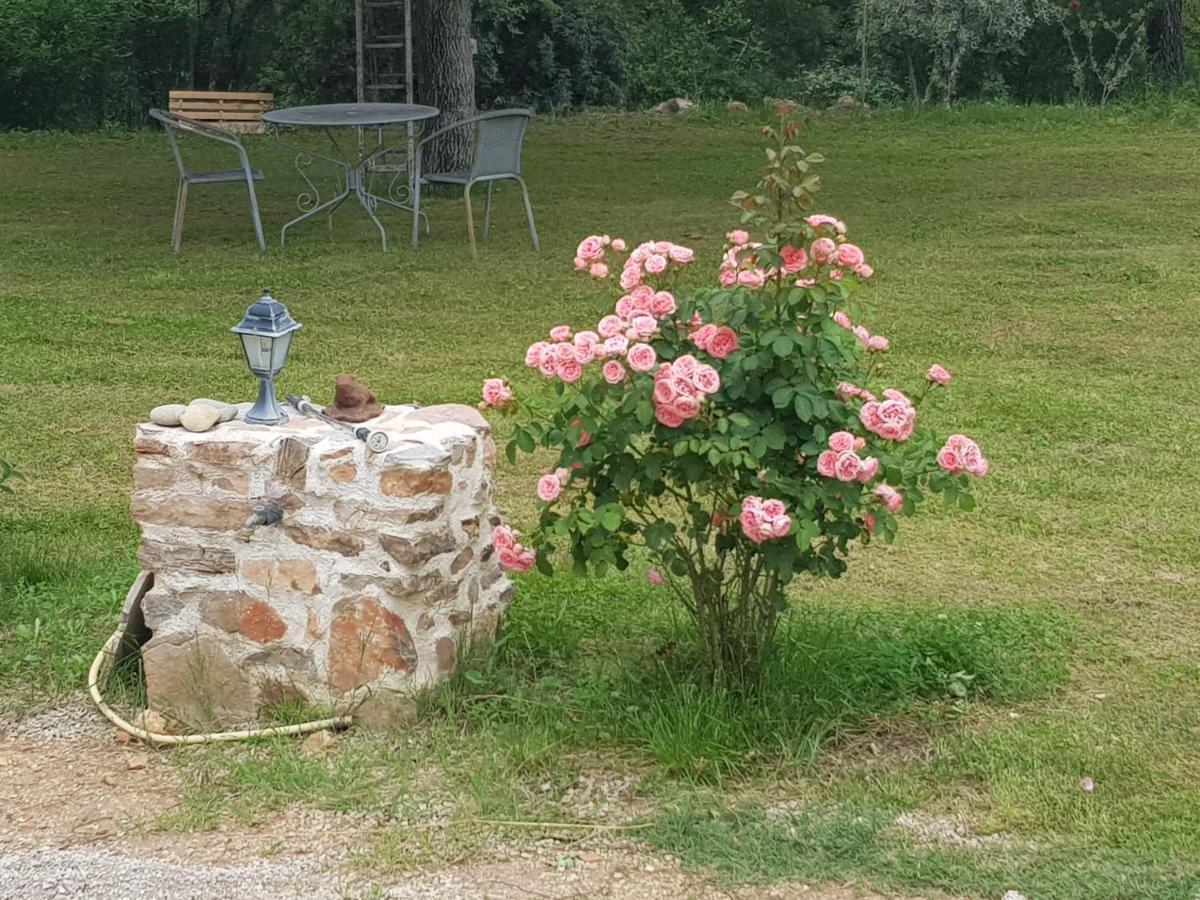 Le Jardin Des Selves Bed & Breakfast Draguignan Exterior photo
